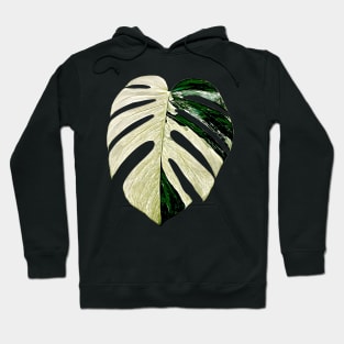 MONSTERA MINT VARIEGATED Hoodie